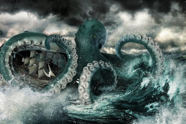 Kraken 24 top