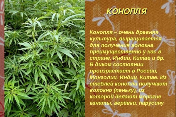 Kraken официальные зеркала