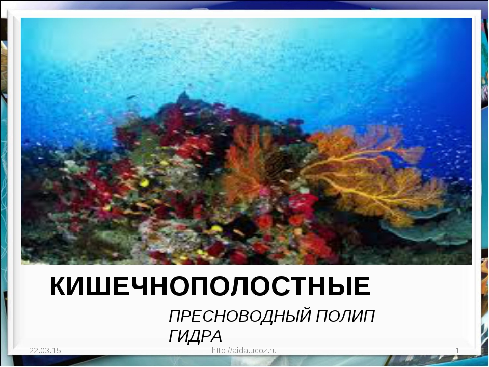 Кракен маркетплейс 2025